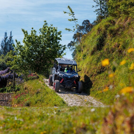 Picture 19 for Activity Arcos de Valdevez & Peneda-Gerês Guided Buggy Ride