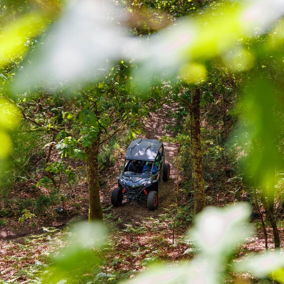 Picture 17 for Activity Arcos de Valdevez & Peneda-Gerês Guided Buggy Ride