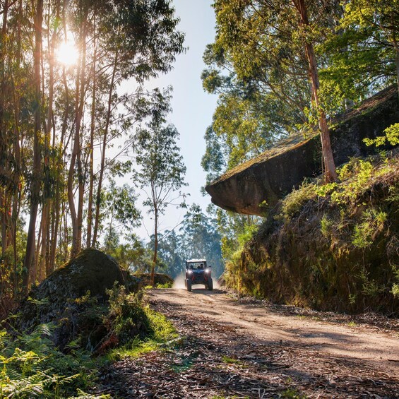 Picture 7 for Activity Arcos de Valdevez & Peneda-Gerês Guided Buggy Ride