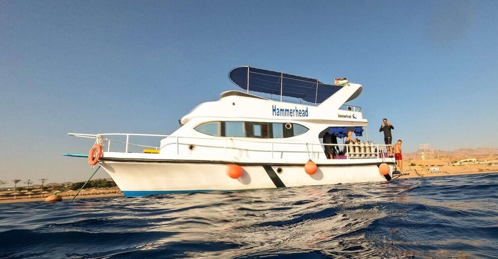 Boat trip with 2 dives Includes lunch and soft drinks& towel