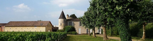 Libourne : visite et dégustation de vin au cœur de Libourne