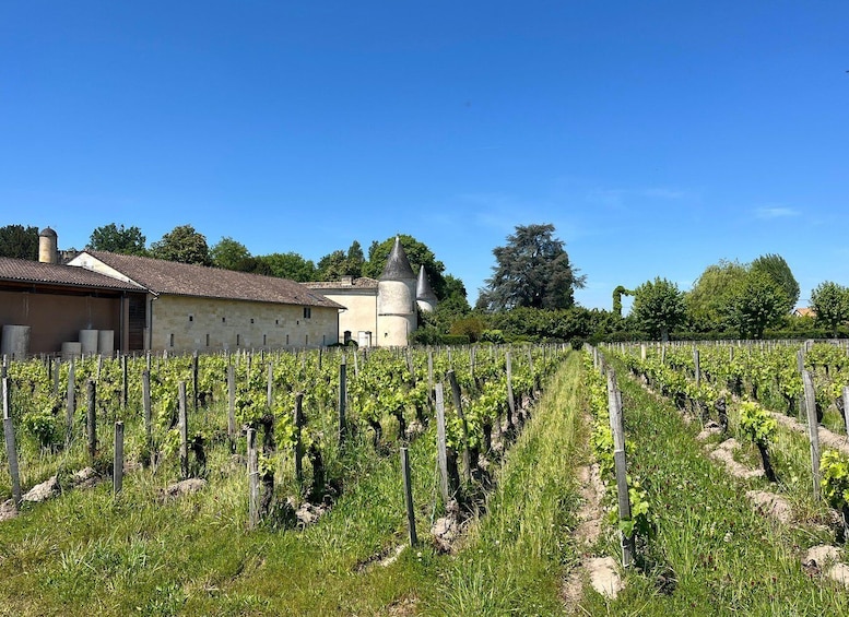 Picture 6 for Activity Libourne : visite et dégustation de vin au cœur de Libourne