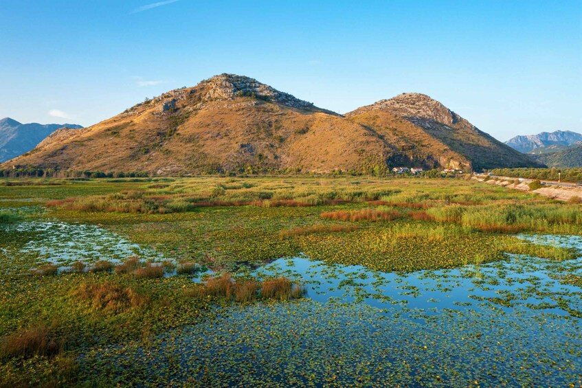 Picture 11 for Activity Lake Skadar: Visit the Montenegrin Venice