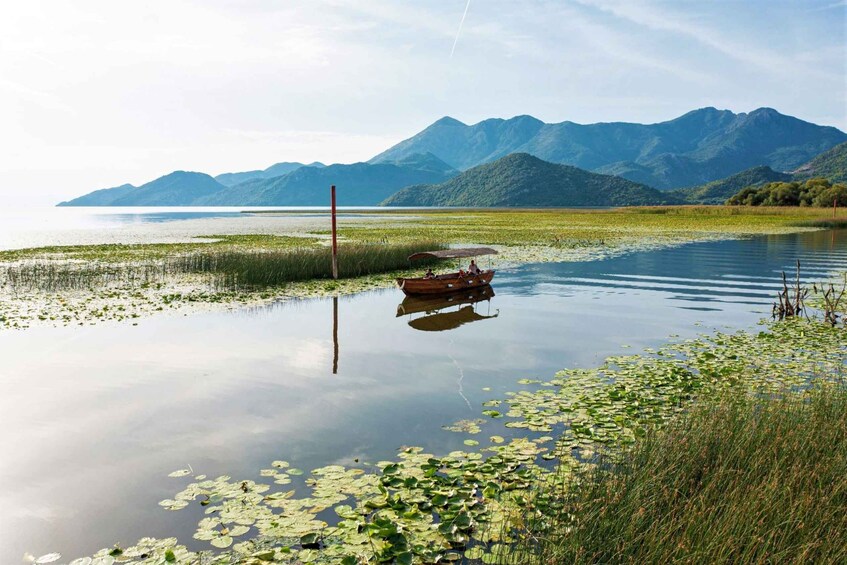 Picture 14 for Activity Lake Skadar: Visit the Montenegrin Venice