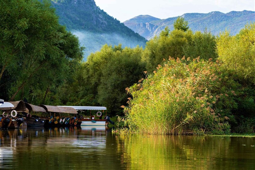 Picture 8 for Activity Lake Skadar: Visit the Montenegrin Venice
