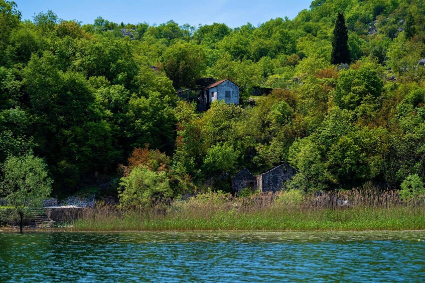 Picture 12 for Activity Lake Skadar: Visit the Montenegrin Venice