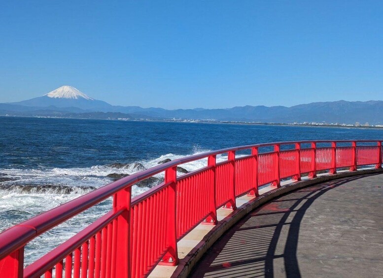 Picture 3 for Activity Enchanting morning walk on Enoshima island