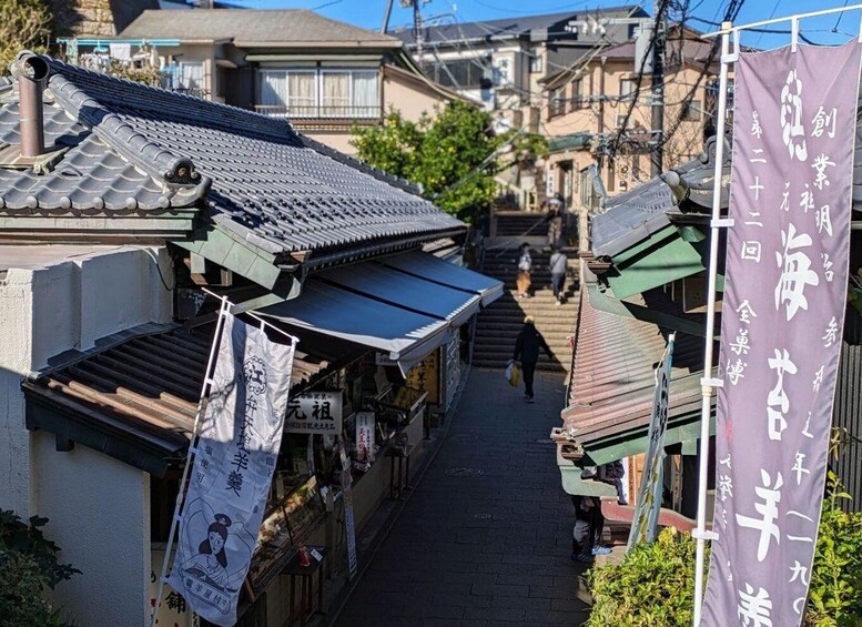 Picture 7 for Activity Enchanting morning walk on Enoshima island