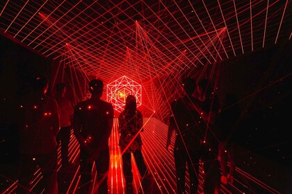 Amsterdam: AMAZE Immersive Audiovisual Experience -lippu.