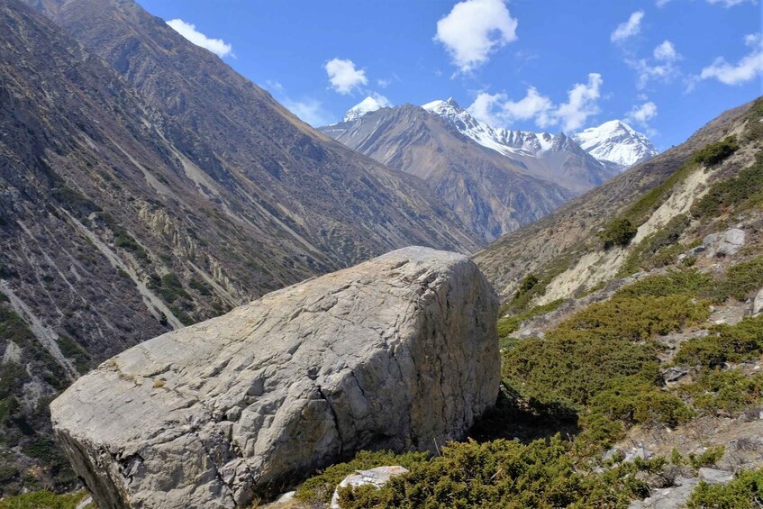 Picture 3 for Activity From Pokhara :Explore Muktinath Temple Helicopter Tour