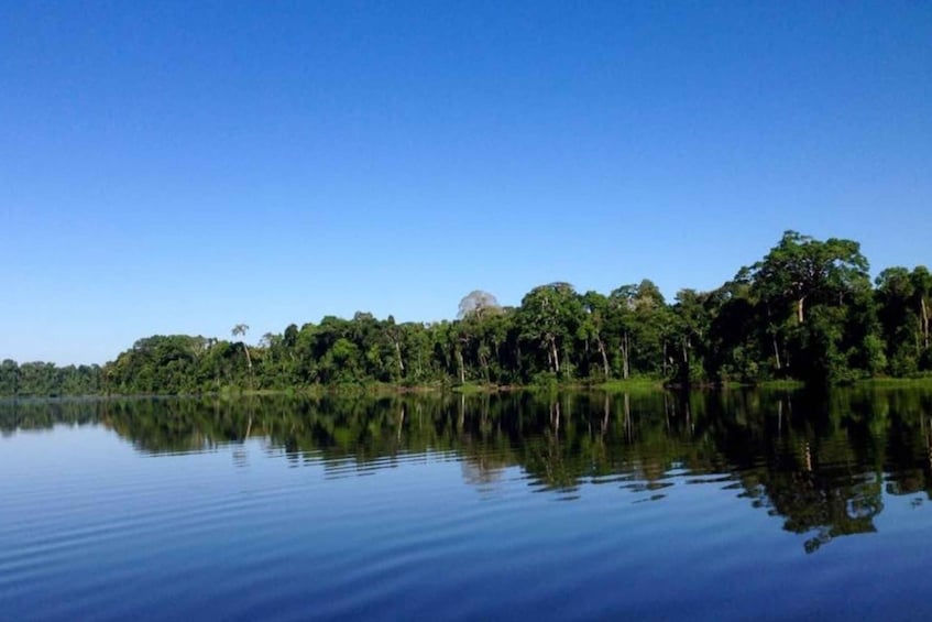 Picture 3 for Activity tour to tambopata: amazon adventure 3D/2N