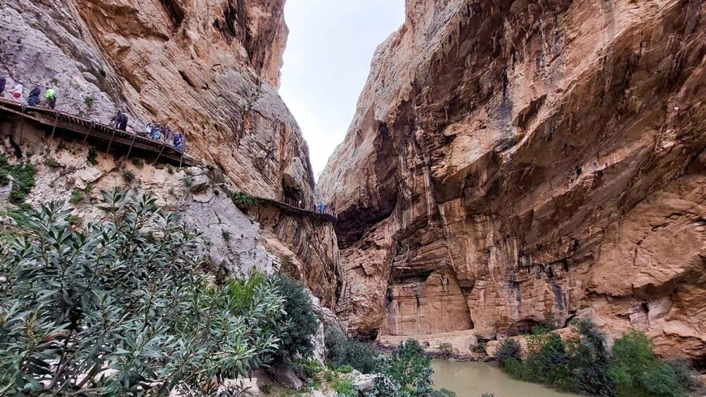 Picture 4 for Activity Nerja, Torrox, or Torre del Mar: Caminito del Rey Day Trip