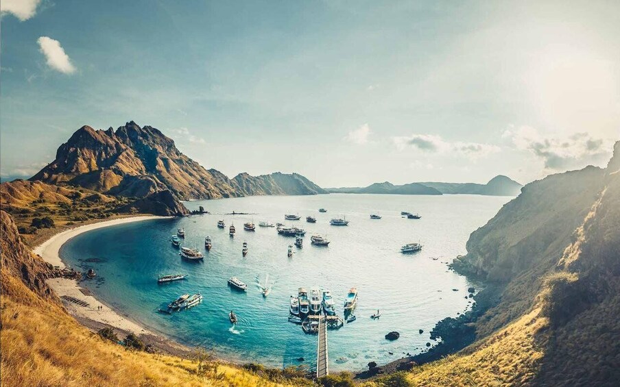 Picture 3 for Activity Komodo Tour : 2 Day 1 Night With Private Boat - Liveaboard
