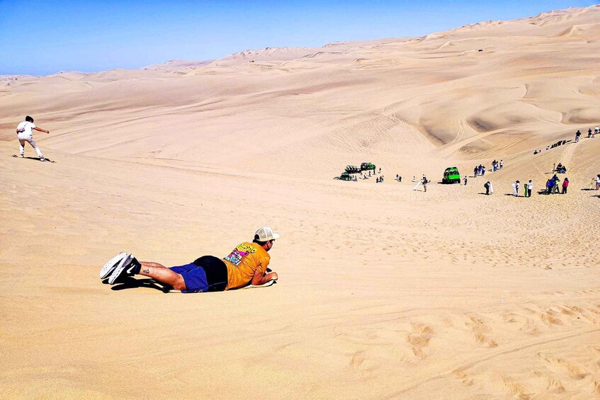 Picture 8 for Activity Paracas Islands & Huacachina Oasis in Ica-Adventure&Wildlife