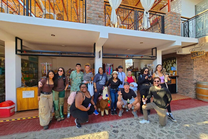 Picture 4 for Activity Paracas Islands & Huacachina Oasis in Ica-Adventure&Wildlife