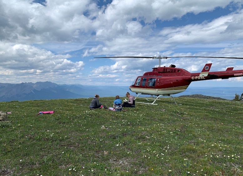 Picture 3 for Activity Jasper: Private Helicopter Tour with Mountain Top Yoga