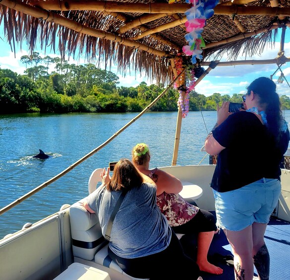 Picture 2 for Activity Cocoa Beach: Private 2-Hour Dolphin Sightseeing Tour