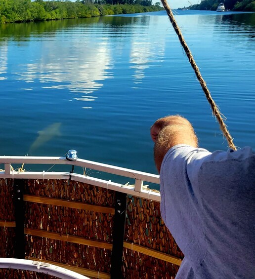 Picture 3 for Activity Cocoa Beach: Private 2-Hour Dolphin Sightseeing Tour