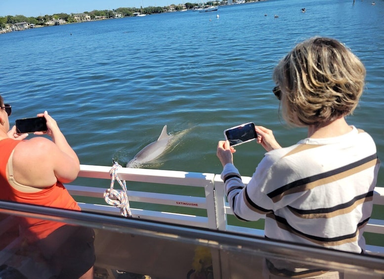 Picture 13 for Activity Cocoa Beach: Private 2-Hour Dolphin Sightseeing Tour