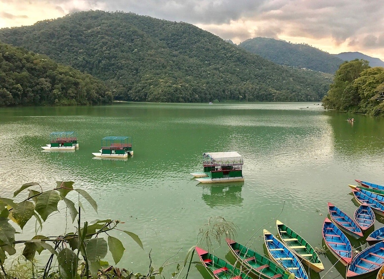 Picture 3 for Activity Pokhara Sightseeing By Bus: Day Trip