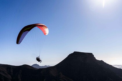 Tenerife: Beginner Paragliding Experience with Transfer