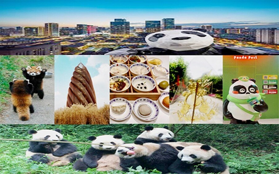 Chengdu downtown essences private day tour