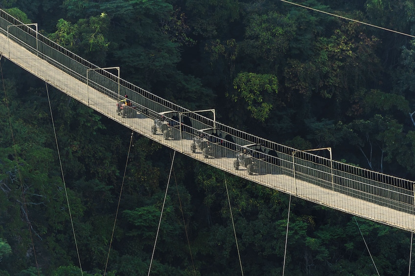 Jorullo Bridge RZR Tour