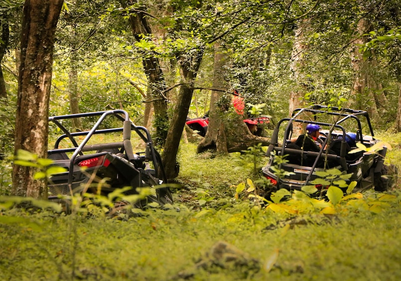 Guided UTV Ride to Jorullo Bridge