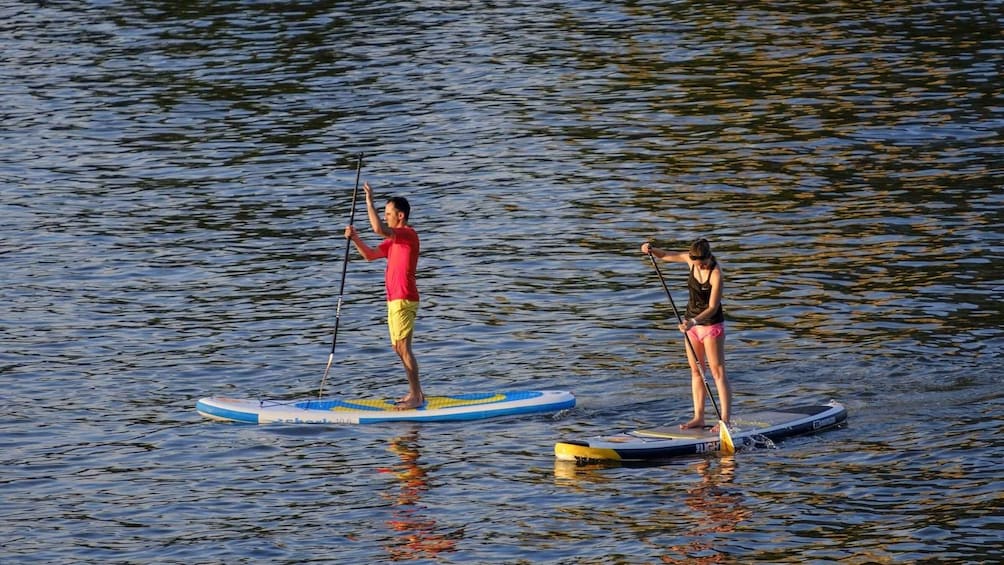 Picture 3 for Activity SUP Yoga (Stand-Up-Paddle Yoga) in Wiesbaden