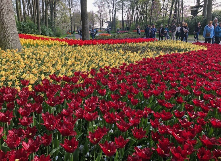 Keukenhof, Flower Fields & Delft City