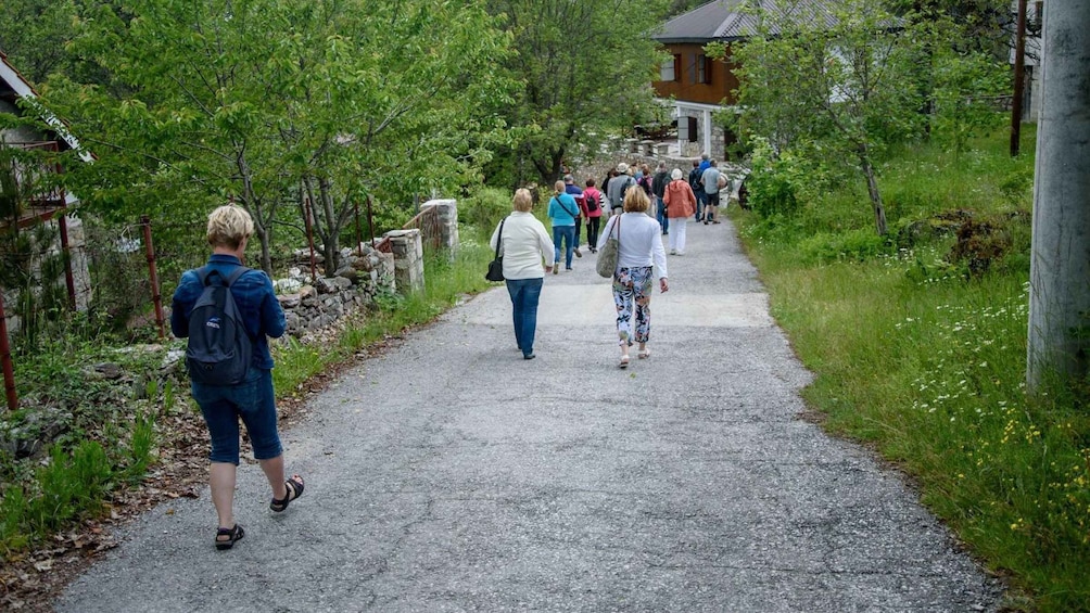 Picture 13 for Activity National Park Mavrovo from Ohrid