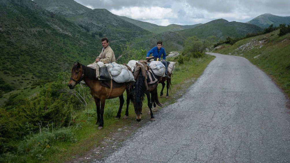 Picture 6 for Activity National Park Mavrovo from Ohrid