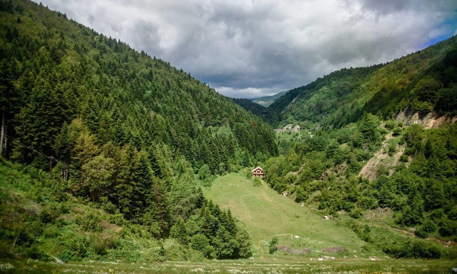 Picture 3 for Activity National Park Mavrovo from Ohrid