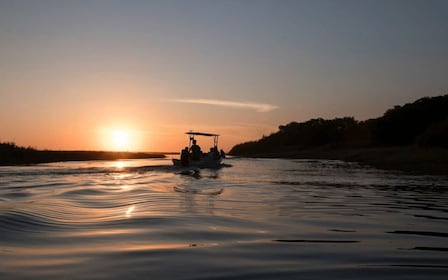 La Crucecita: Magic Lagoon Bioluminescence and Turtles Tour