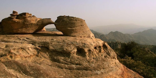 Dana Nature Reserve & Al-Karak Castle day tour