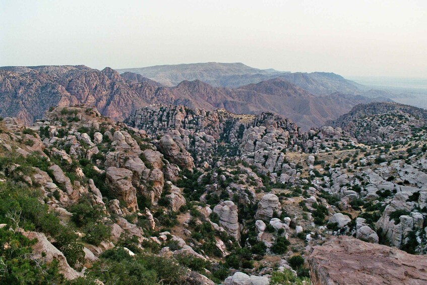 Dana Nature Reserve & Al-Karak Castle day tour