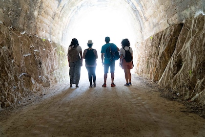 Desde Siracusa: recorrido guiado de senderismo por la reserva natural de Pa...