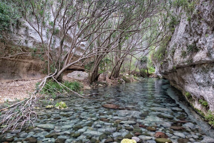 Picture 6 for Activity From Siracusa: Pantalica Nature Reserve Guided Hiking Tour