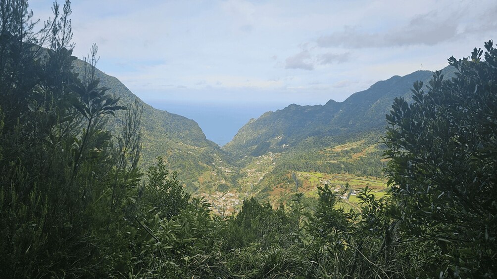 Picture 6 for Activity Levada dos Tornos-BoaVentura by Overland Madeira