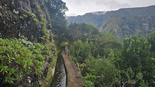 Levada dos Tornos-BoaVentura by Overland Madeira