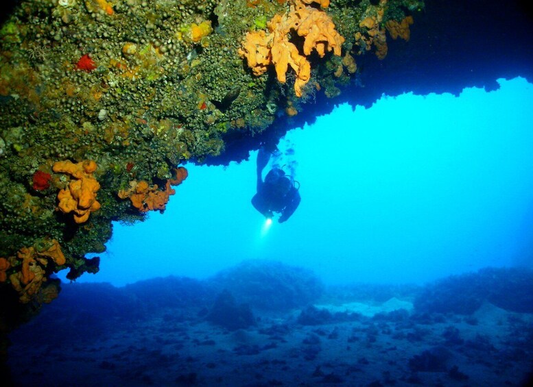 Picture 1 for Activity Rhodes: Diving Adventure for Beginners and Experts