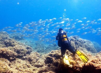 Rhodes: Diving Adventure for Beginners and Experts