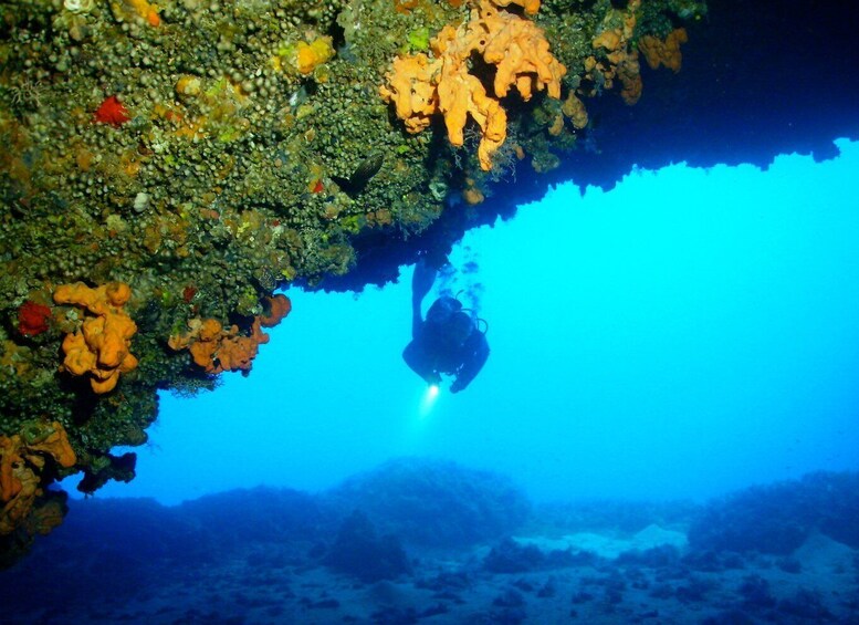 Picture 1 for Activity Rhodes: Diving Adventure for Beginners and Experts