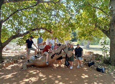 Darwin and Crocodile Tour