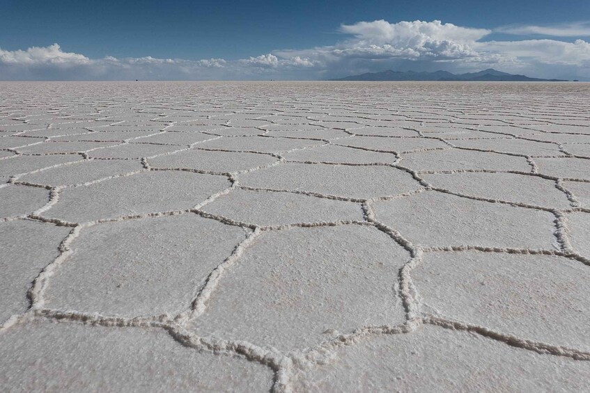 Picture 5 for Activity From Sucre: Uyuni salt flat tour 2 days 1 night