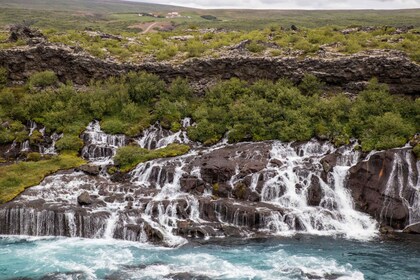 Depuis Reykjavik : Excursion privée d'une journée à Borgarfjordur