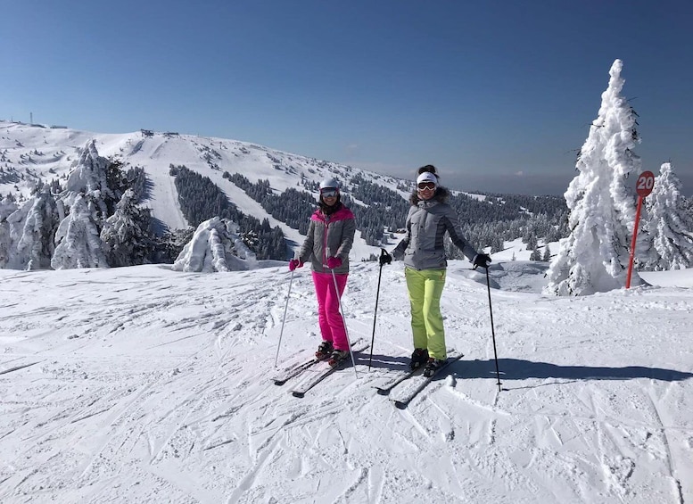 Picture 2 for Activity From Belgrade: Kopaonik national park & Ski resort-full day