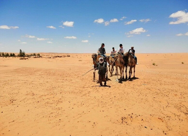 Picture 13 for Activity From Djerba Midun: Tunisia 2-Day Berber Heritage Trip