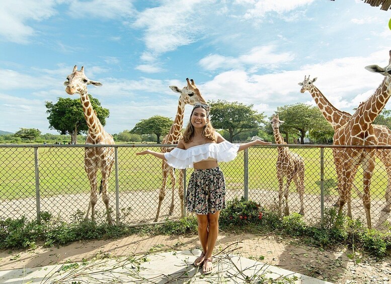 Picture 2 for Activity Coron: Black Island & Calauit Private Safari Tour