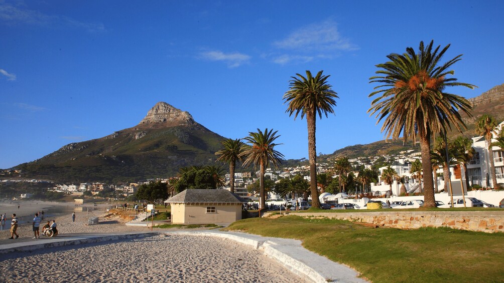 Picture 13 for Activity Peninsula Day Tour: Cape Point, Penguins & Table Mountain